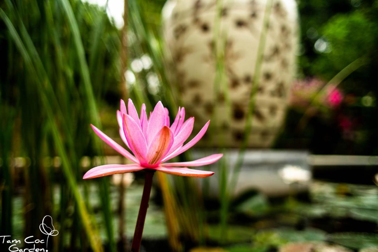 Tam Coc Garden Resort Ninh Binh Exterior foto