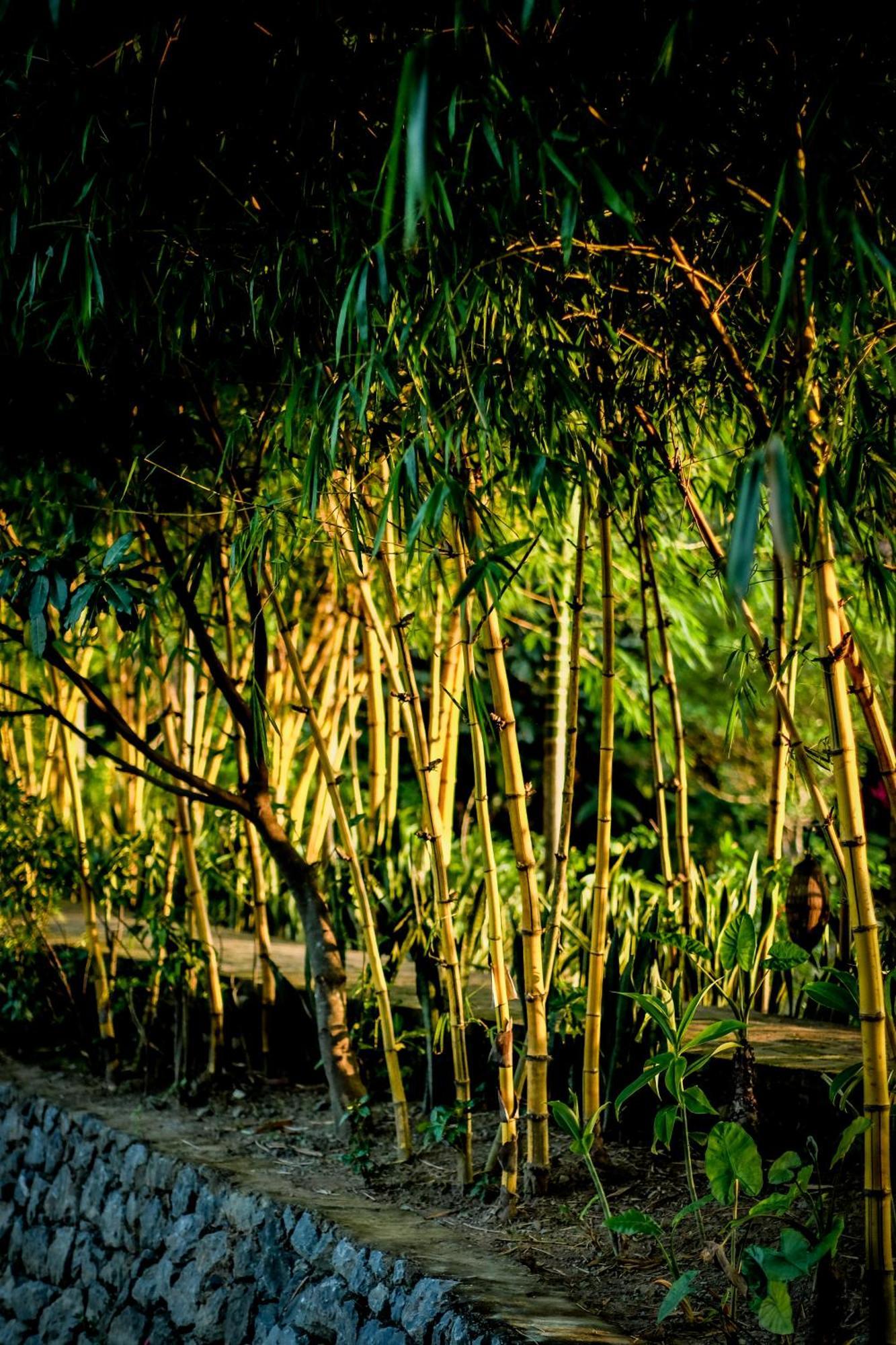 Tam Coc Garden Resort Ninh Binh Exterior foto